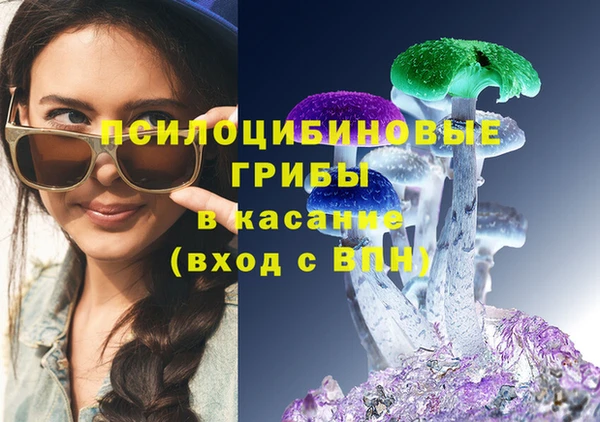 ГАЛЛЮЦИНОГЕННЫЕ ГРИБЫ Нея