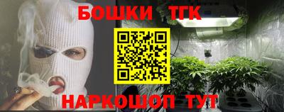 индика Камышлов