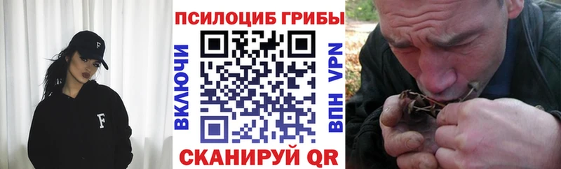 Галлюциногенные грибы Psilocybe  Лыткарино 