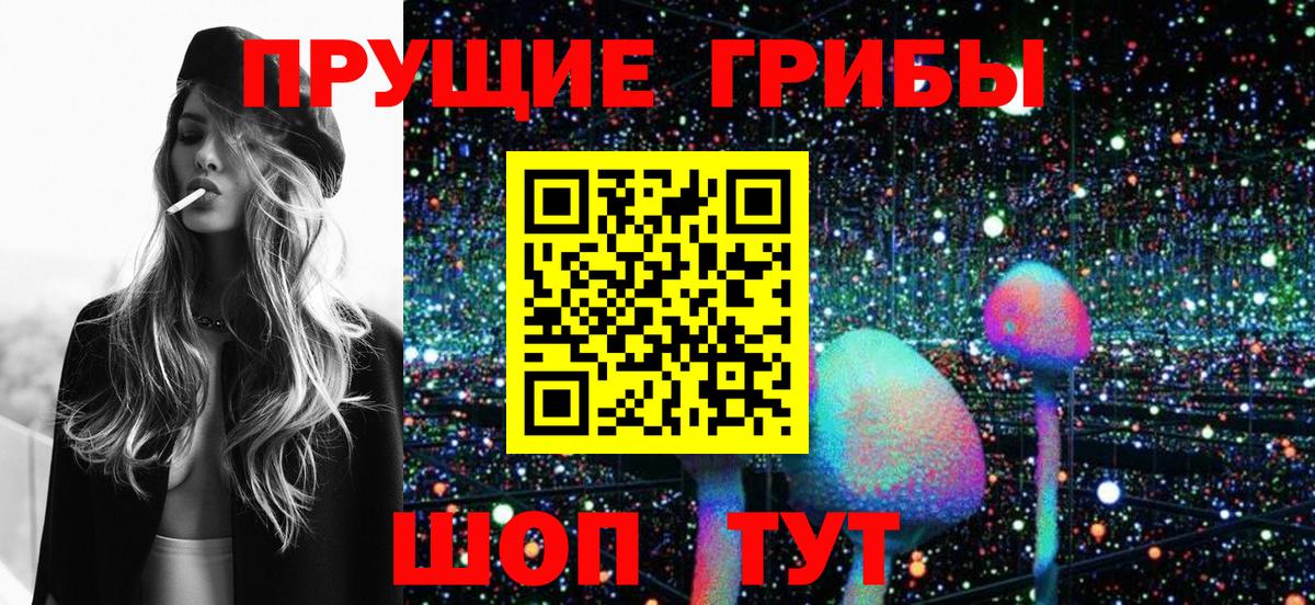 закладки  Псилоцибиновые грибы Psilocybine cubensis  Вход с VPN  Лыткарино 