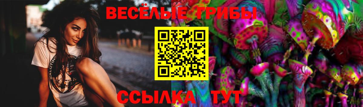 Псилоцибиновые грибы Psilocybine cubensis  Лыткарино 